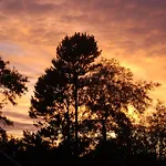 Kemping Egtved Camping Cottages *