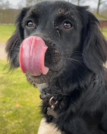 营地 艾特夫露营小屋旅馆 艾特韦