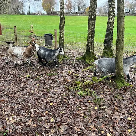 营地 艾特夫露营小屋旅馆 艾特韦